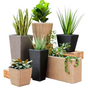 flower pot