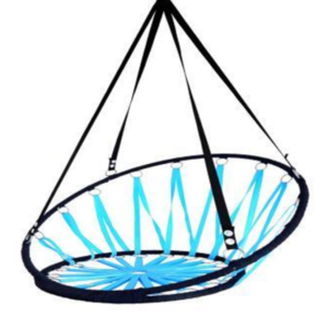 Nest Rape Hanging Swing